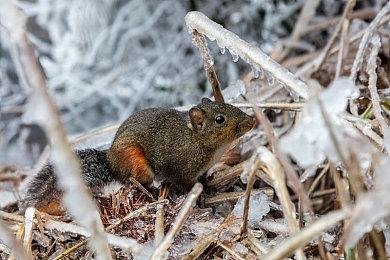 《切口》8月正式推出 特别好评复古风格FPS